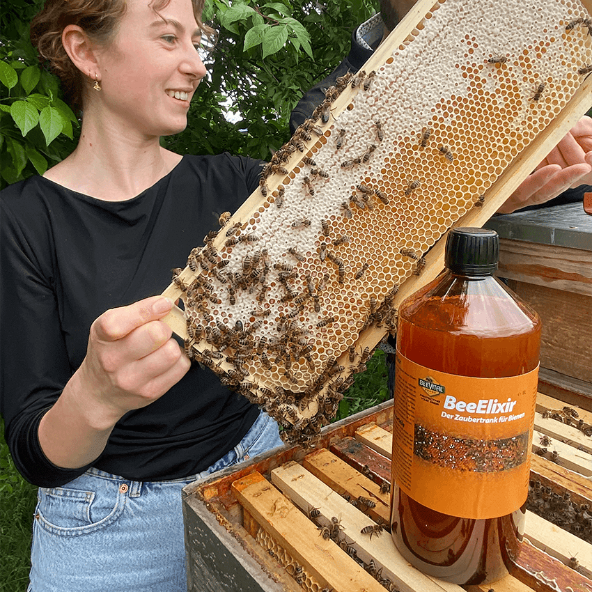 beekeeper happily inspecting the state of honey frames after application of bee-elixir