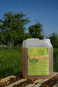 Load image into Gallery viewer, beestrong 5 liters canister standing on hive frame with nature background
