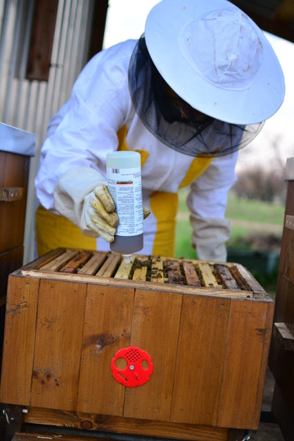 application of varromed by beekeeper in white suit
