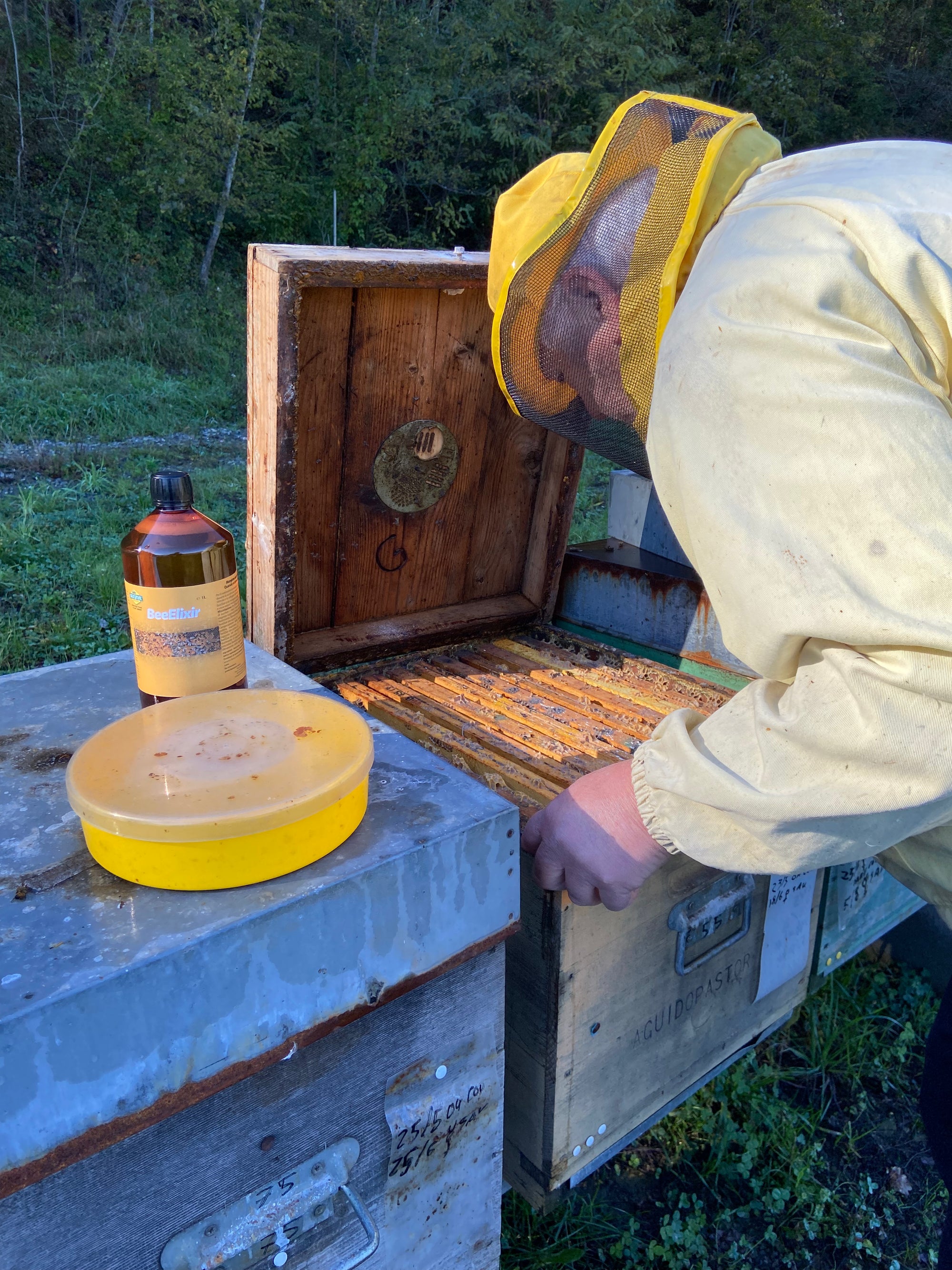 beekeeper in white suit attending to see bees in autumn with beeelixir bottle and feeder next to him