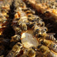 BeeStrong 8.5 fl oz (250 ml) (Serves 5 - 10 colonies)