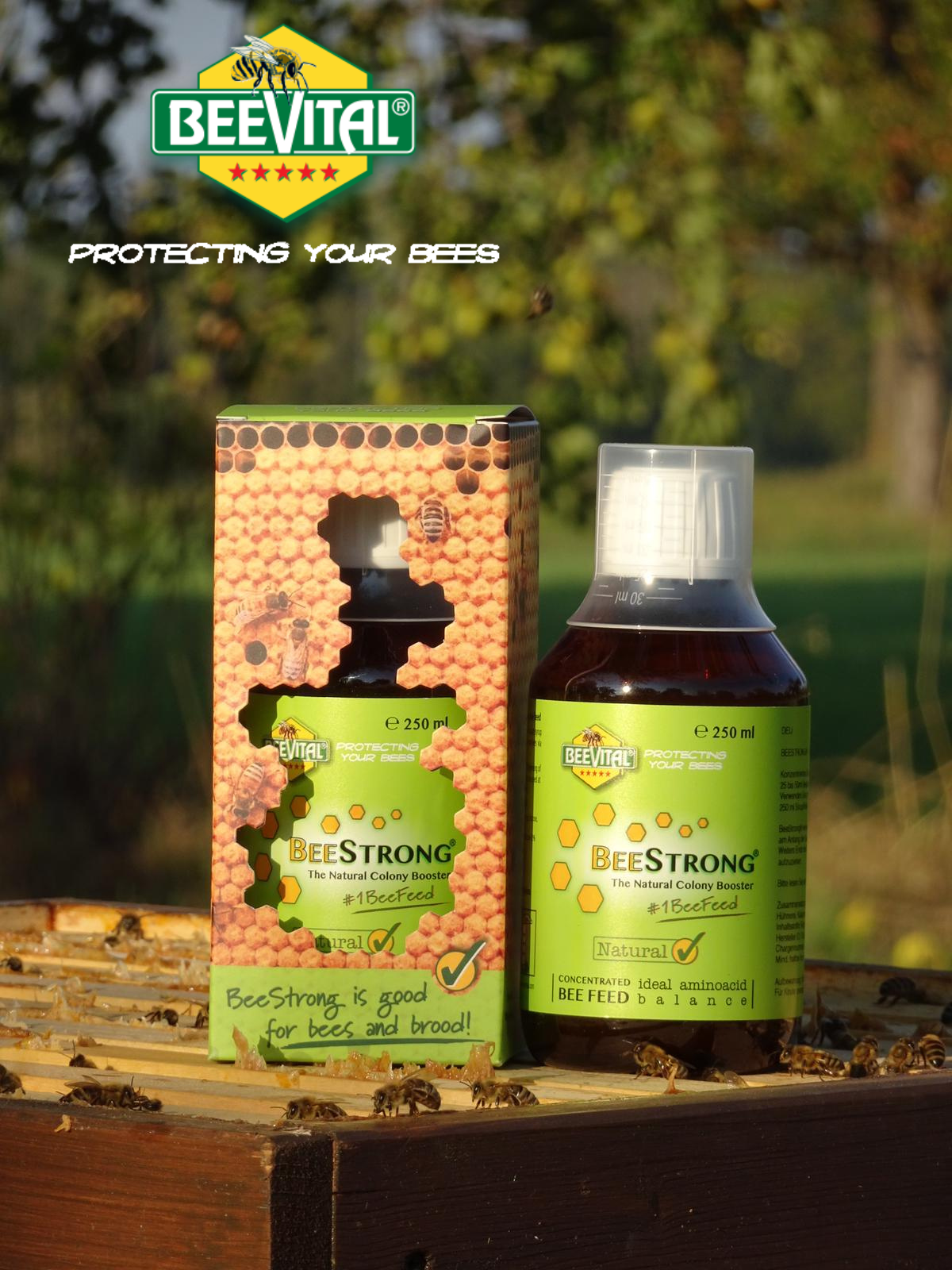 BeeVital US – BeeVital Online Shop