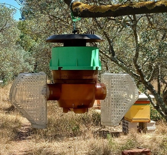 velutina trap hangin off the tree in the southern climate with hives in the backround