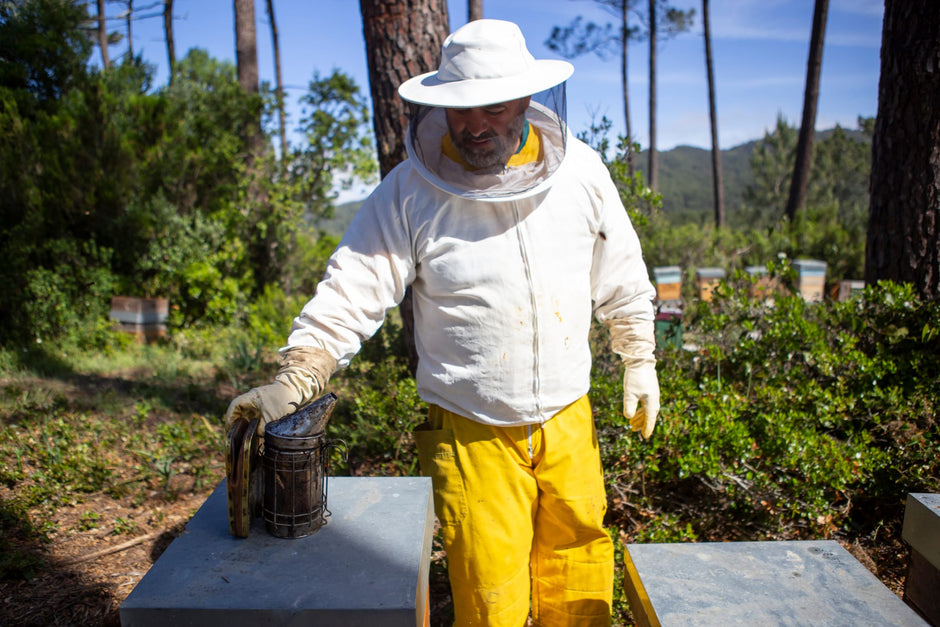 beekeper in southern forest climate in yellow white suit tending to his beehives